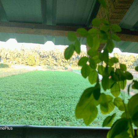 Ocean Sparrow Beach Stay Gokarna  Zimmer foto